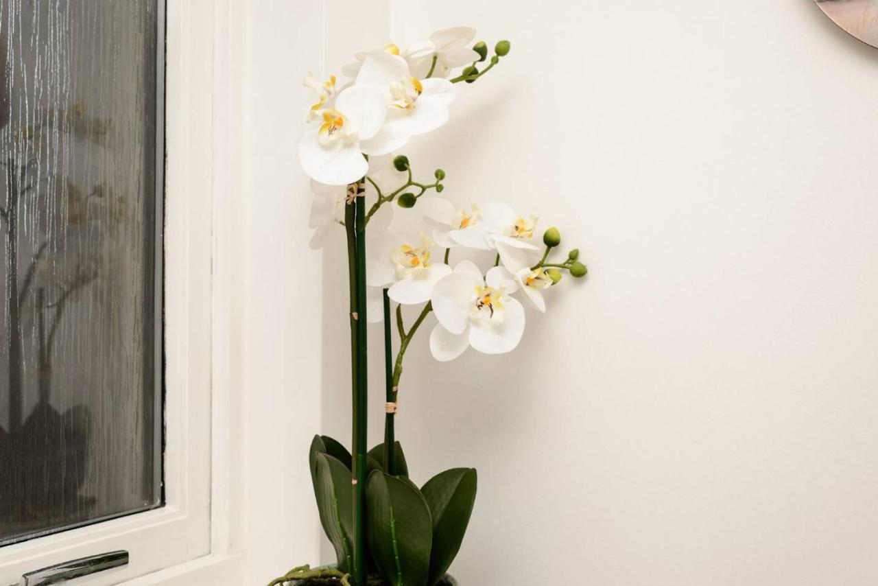 Altido Lovely Apartment For 4 With Free Parking Единбург Екстер'єр фото
